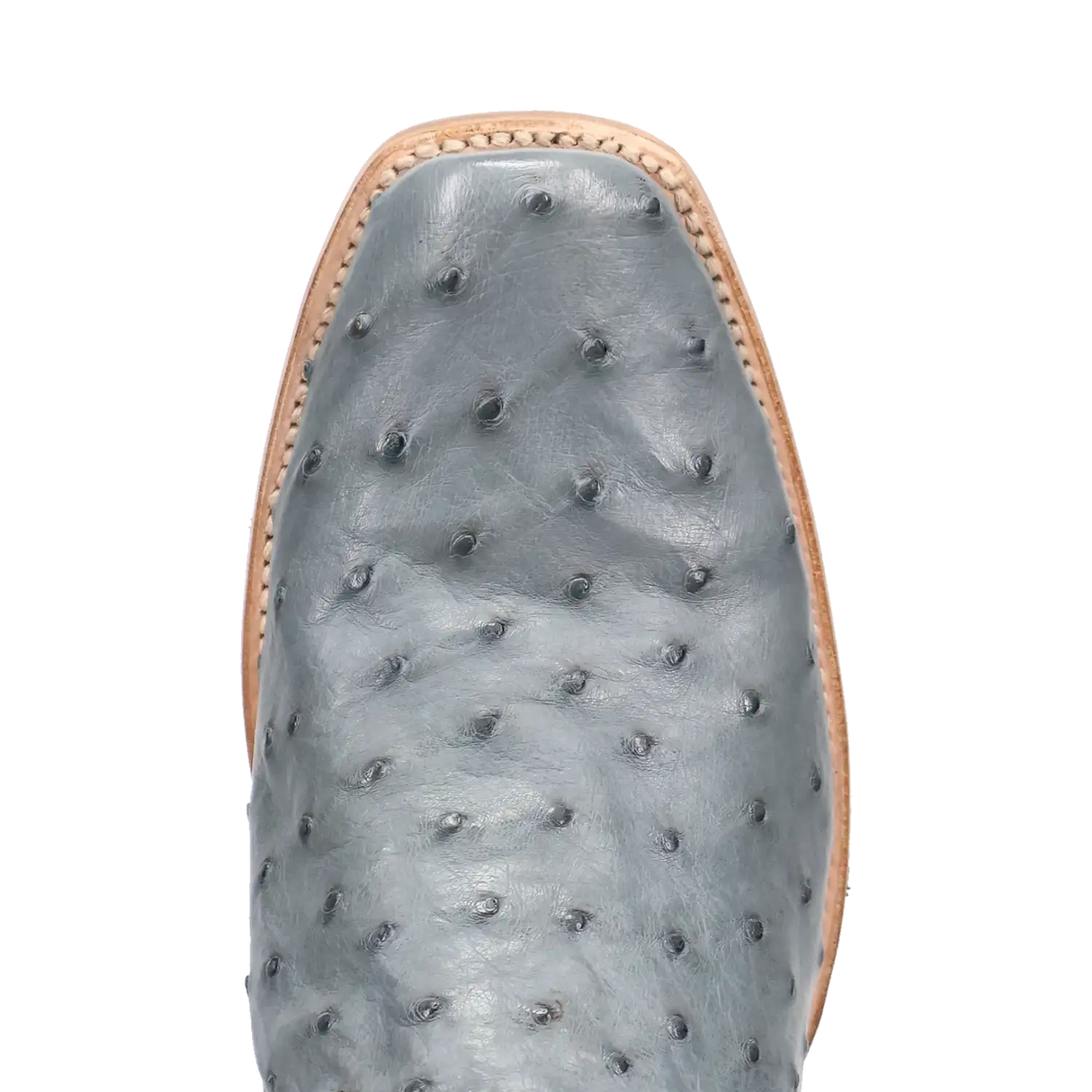 Botas vaqueras de avestruz de pluma completa Dan Post Brady para hombre