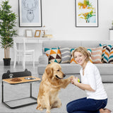 Soporte para cuencos de perro con 2 cuencos de acero inoxidable para comida y agua