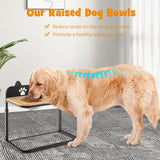Soporte para cuencos de perro con 2 cuencos de acero inoxidable para comida y agua