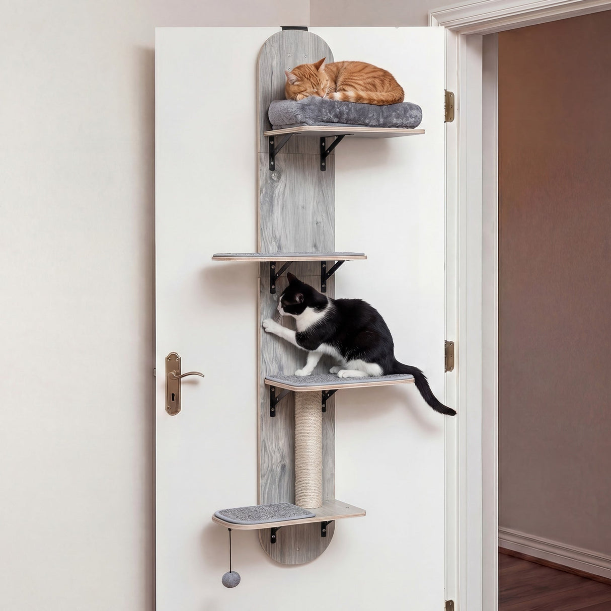 Trepadora para gatos para colgar en la puerta, de 4 niveles, altura ajustable con cama de felpa