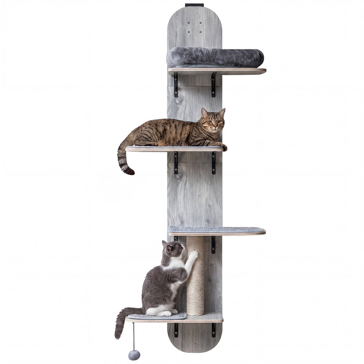 Trepadora para gatos para colgar en la puerta, de 4 niveles, altura ajustable con cama de felpa