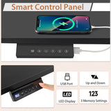 Height Adjustable Electric Standing Desk with USB Charging Port