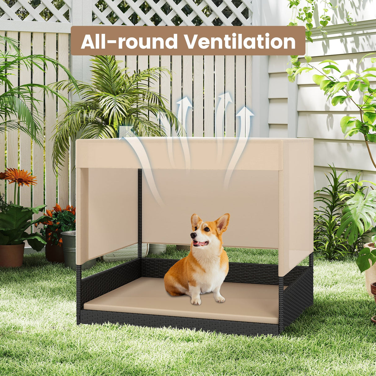 Casa para perros de mimbre elevada para razas pequeñas a medianas - Negra