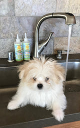 Juego de lavado y acondicionador Calming™ para cachorros y perros