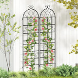Paquete de 4 celosías metálicas de 180 cm x 50 cm para plantas trepadoras de exterior