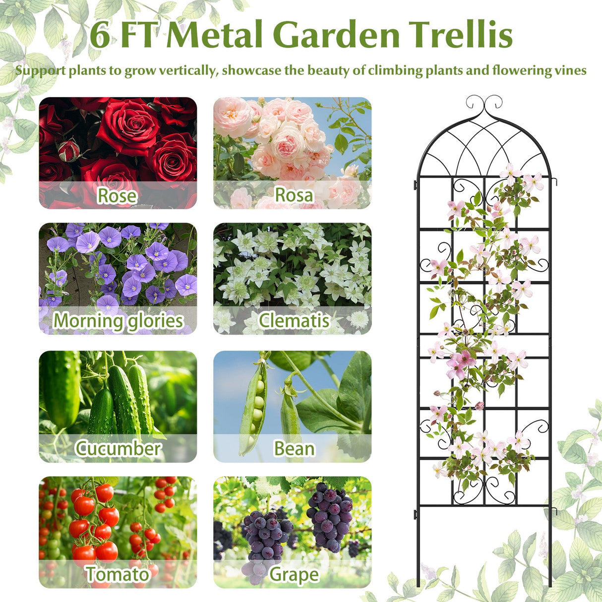 Paquete de 4 celosías metálicas de 180 cm x 50 cm para plantas trepadoras de exterior