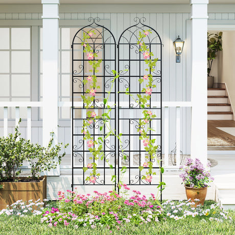 Paquete de 2 celosías metálicas para jardín de 218 x 50 cm para plantas trepadoras de exterior