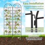 2 Pack 86" x 20" Metal Garden Trellis for Outdoor Climbing Plants