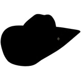 Sombrero vaquero de fieltro (4X) - Larry Mahan's Go Round