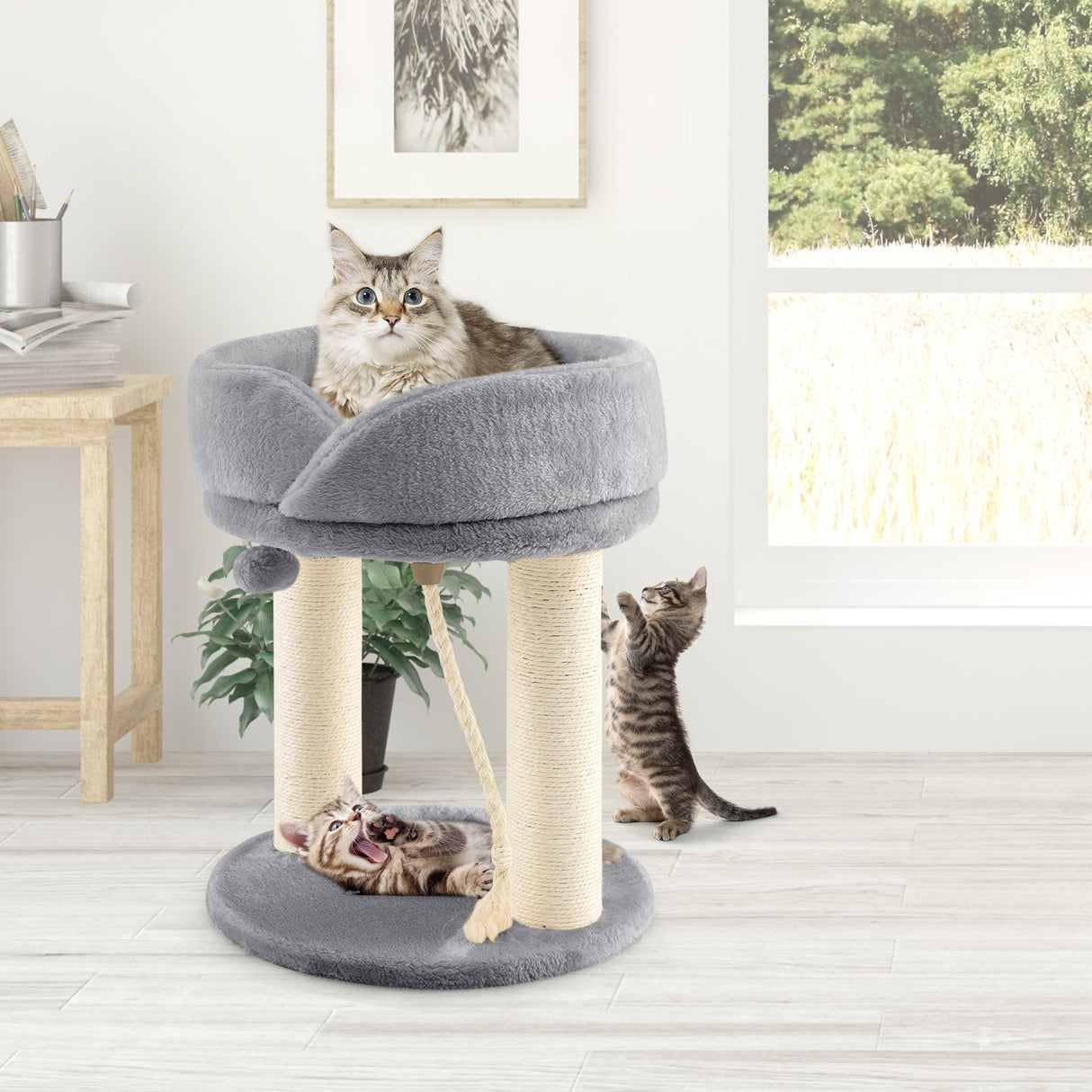 Árbol para gatos con plataformas de felpa y rascador