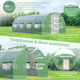 20 x 10 x 6.6 Feet Greenhouse with Windows and Doors for Outdoor-Green