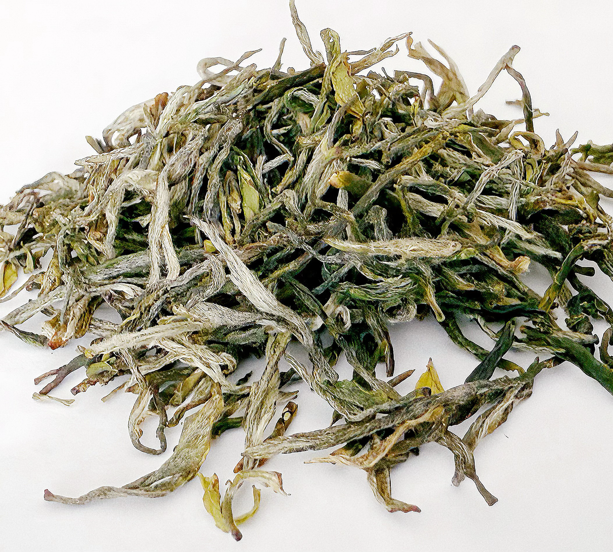 Xin Yang Mao Jian (信陽毛尖)