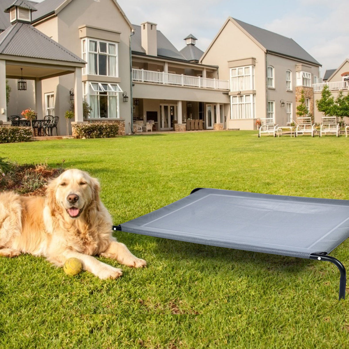 Cama elevada para mascotas, grande, de acero, para interior o exterior