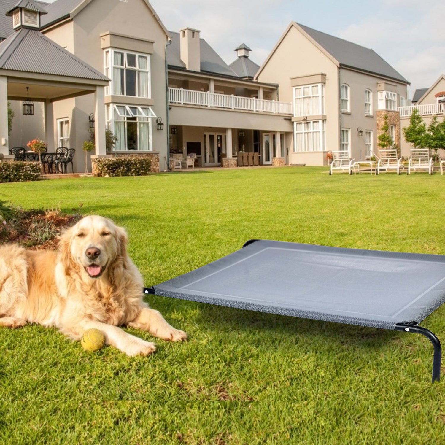 Cama elevada para mascotas, grande, de acero, para interior o exterior