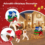 Outdoor Pre-lit Xmas Dog and Sleigh with 170 Warm Bright Lights for Porch