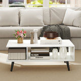 Mid Century Modern Rectangle Coffee Table 2-Tier Accent Table with 2 Open Compartments