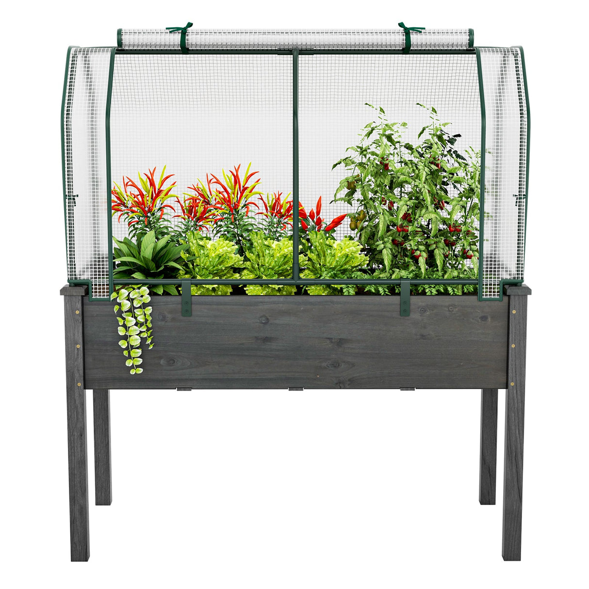 Mini invernadero de 47.5 x 21.5 x 24 pulgadas con puerta enrollable con cremallera