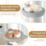 Árbol de gato moderno de 44 pulgadas, torre de gato de varios niveles con percha superior acolchada extraíble - Natural