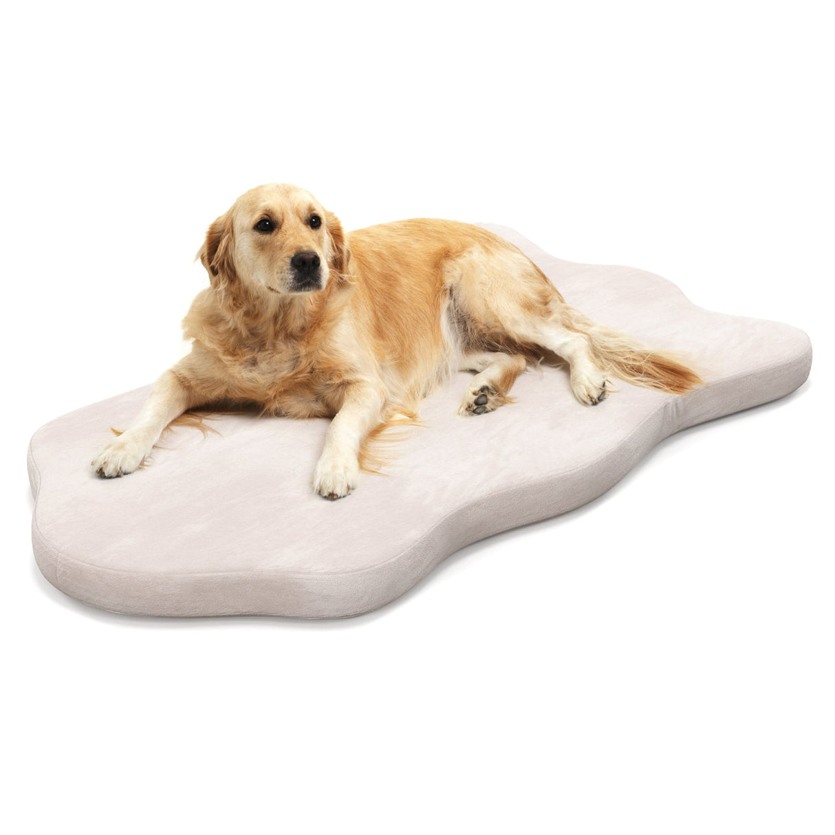 Cama ortopédica para perros con soporte de espuma viscoelástica para perros grandes