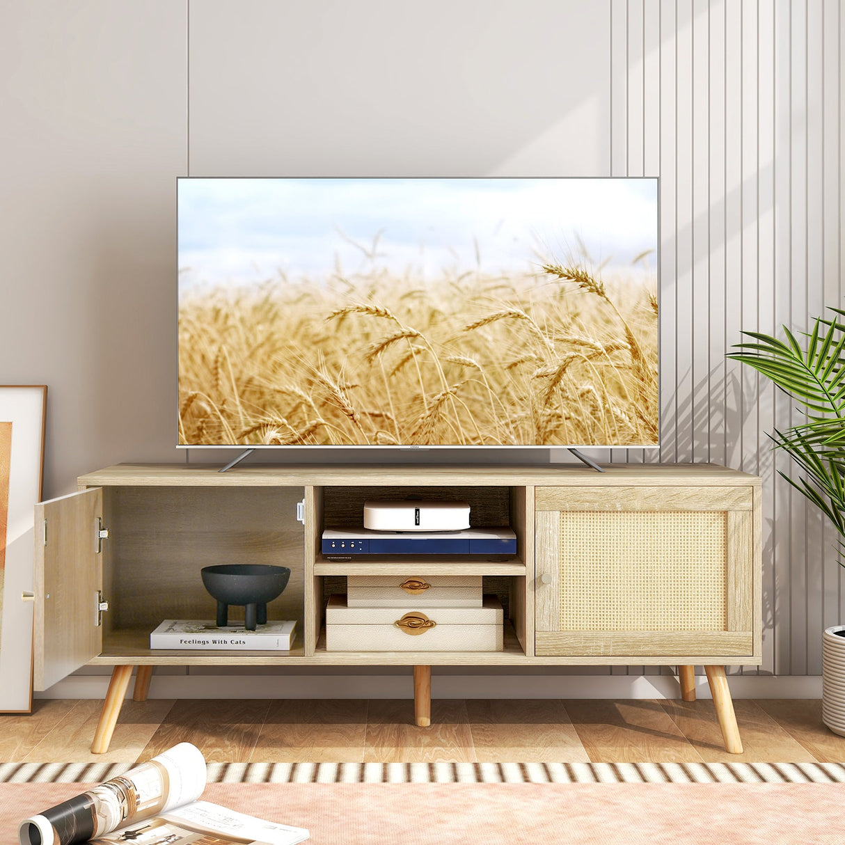 Mueble para TV de ratán PE con 2 armarios y estantes abiertos