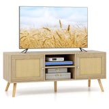 Mueble para TV de ratán PE con 2 armarios y estantes abiertos
