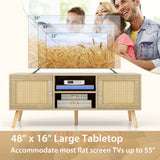 Mueble para TV de ratán PE con 2 armarios y estantes abiertos