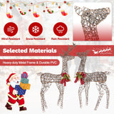 2 Pieces Lighted Reindeer Family with 200 LED Lights