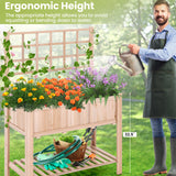 Raised Garden Bed Elevated Wooden Planter Box with Trellis