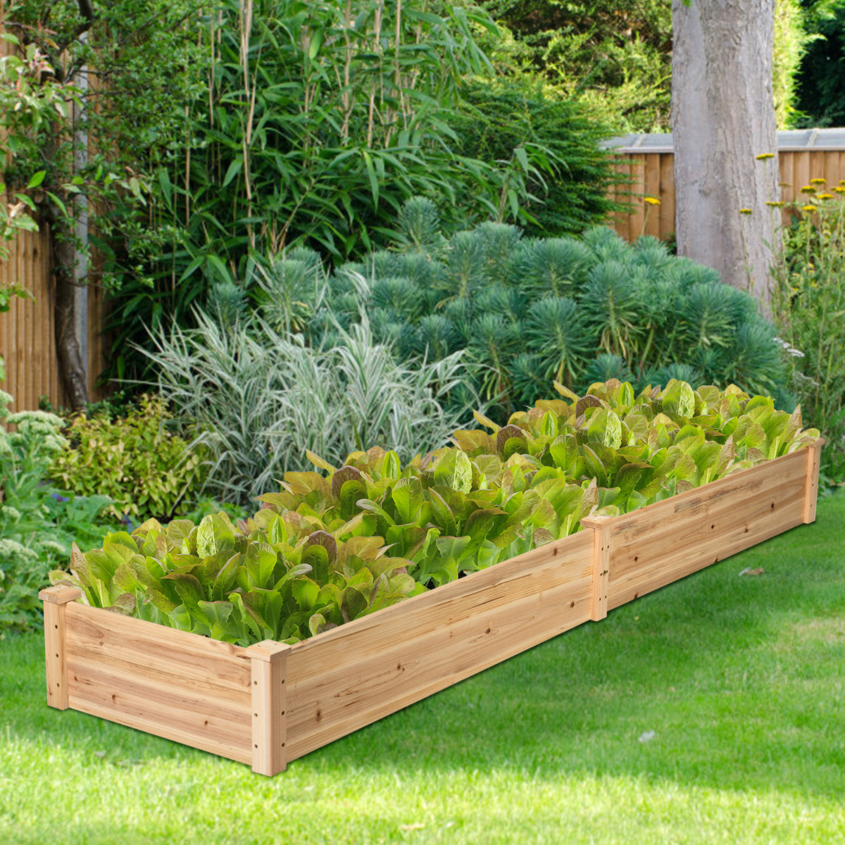 Cama de jardín elevada de madera para verduras para patio trasero o balcón