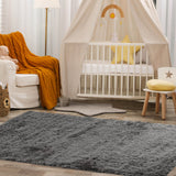 5 x 7 Feet Modern Rectangular Soft Shag Area Rug for Living Room Bedroom