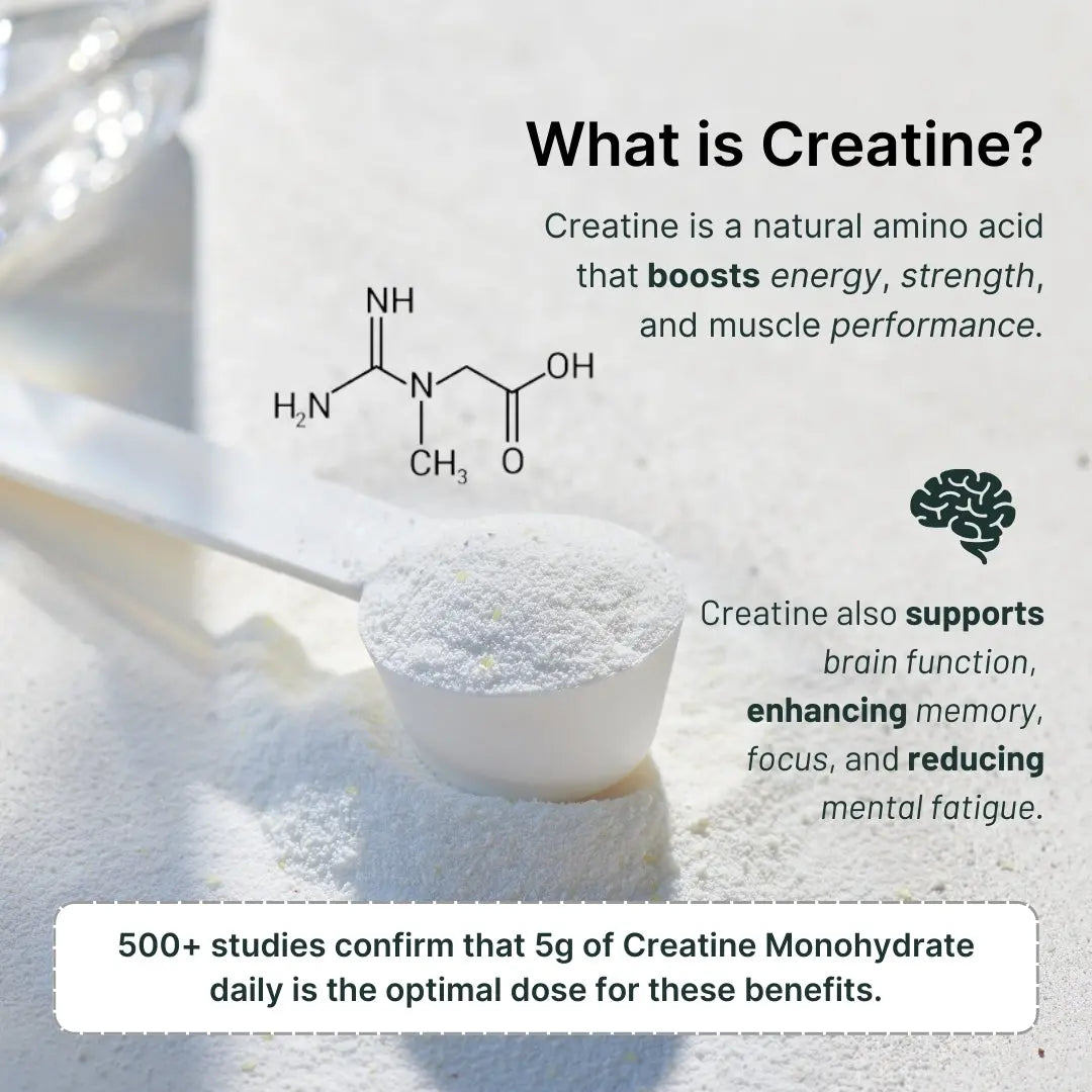 2-in-1 Vegan Protein + Creatine Travel Packets