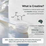 2-in-1 Vegan Protein + Creatine Travel Packets