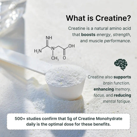 2-in-1 Vegan Protein + Creatine Travel Packets