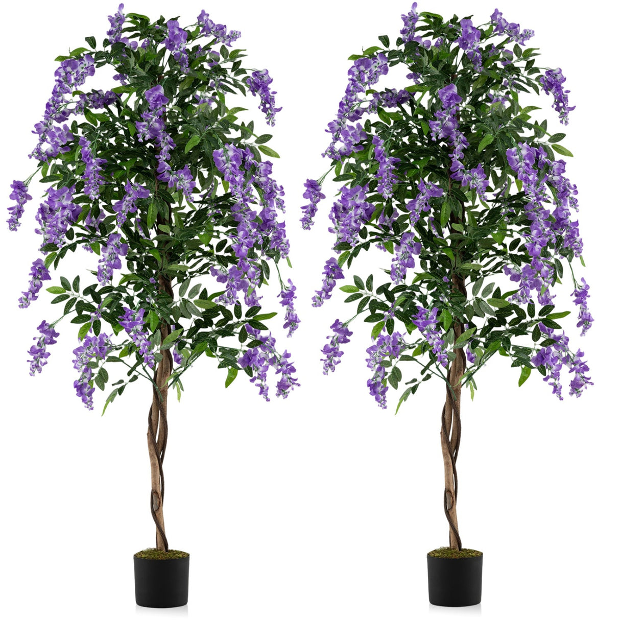 Juego de 2 plantas de ficus artificiales de 1.83 m, árboles de glicinia artificiales con troncos naturales y flores moradas realistas