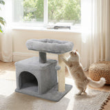 Árbol para Gatos Pequeño con Gran Poste Rascador Acolchado de Peluche para Gatos de Interior