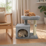 Árbol para Gatos Pequeño con Gran Poste Rascador Acolchado de Peluche para Gatos de Interior