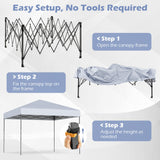 10 X 10 Feet Pop up Canopy Tent with Portable Carrying Bag and 8 Stakes