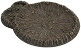 Flames of War: Large Craters and Ruined House
