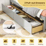Twin Size Daybed with 2 Storage Drawers No Box Spring Needed