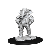 Magic: the Gathering - Unpainted Miniatures - Quintorius, Field Historian