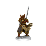 D&D: Frameworks - Dragonborn Paladin Male
