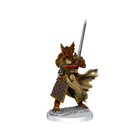 D&D: Frameworks - Dragonborn Paladin Male