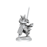 D&D: Frameworks - Dragonborn Paladin Male
