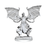 D&D: Frameworks - Dragonborn Sorcerer Female