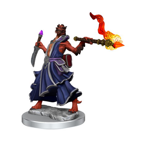D&D: Frameworks - Dragonborn Sorcerer Female