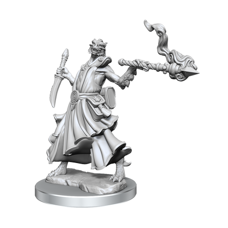 D&D: Frameworks - Dragonborn Sorcerer Female