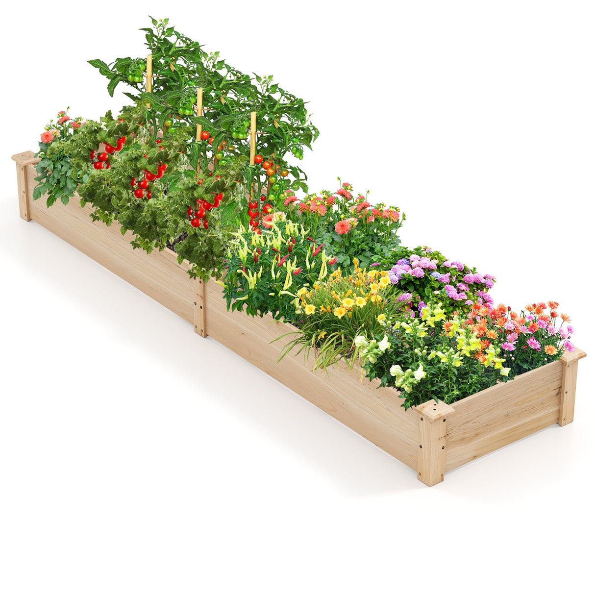 Huerto Urbano Elevado de Madera con 2 Cajas de Cultivo y Separadores-Natural