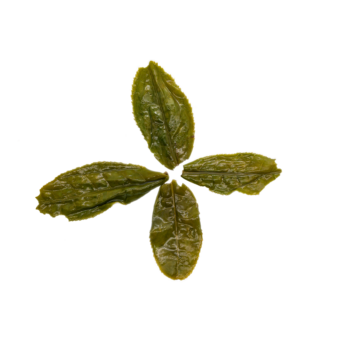 Juego de degustación de té Gua Pian de varias cosechas
