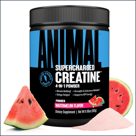 Animal Creatine XL, 30 Dosis
