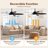 52 Inch Ceiling Fan with Lights and 3 Lighting Colors